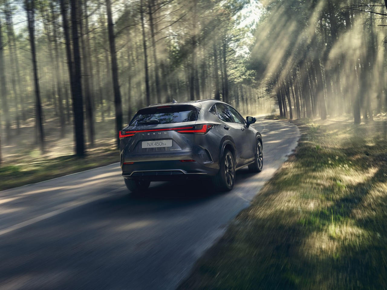 Ένα Lexus NX 450h+ στο δάσος